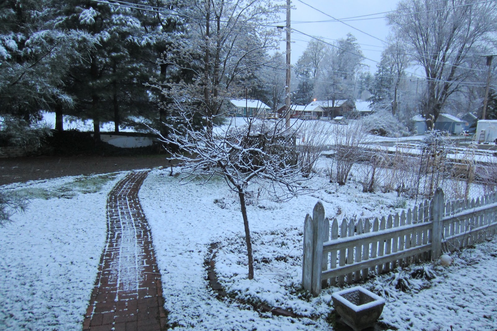 EARLY RISING ON CHAUTAUQUA LAKE Sun Rising Over Snow Covered Yard