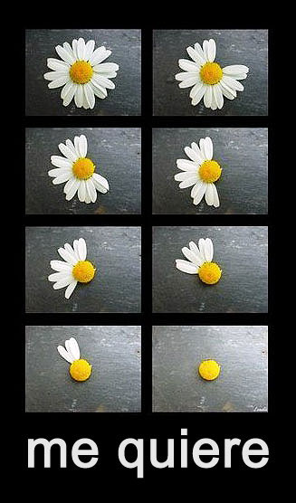 external image me_quiere.jpg