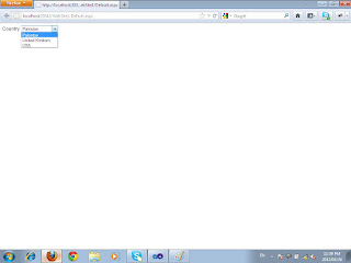 DropDownList Databound