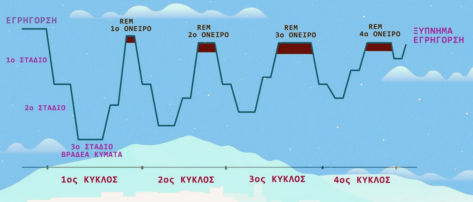 ΚΥΚΛΟΙ & ΣΤΑΔΙΑ ΤΟΥ ΥΠΝΟΥ