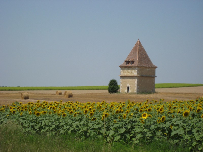 Jenny loves to read Behind the story The region of Gascony in France