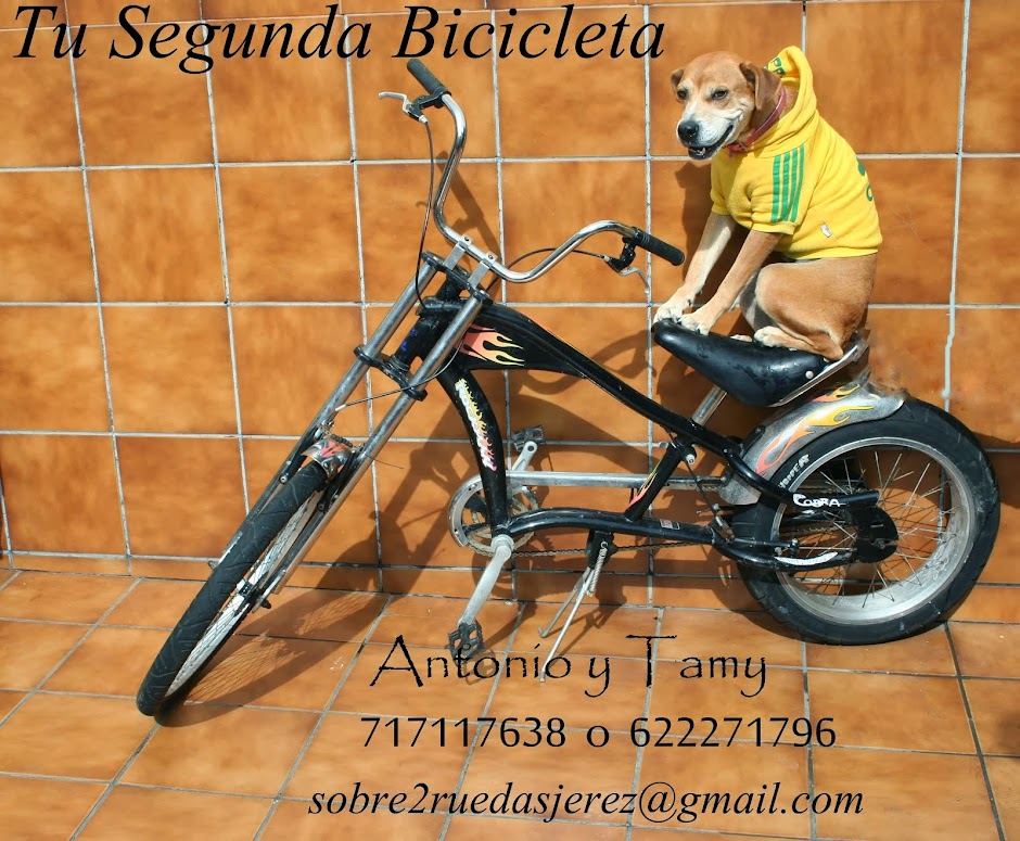 Tu Segunda Bicicleta