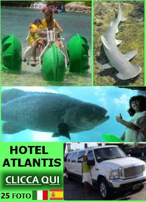 http://vacanzedafavola7.blogspot.it/2014/12/vacanze-hotel-atlantis-bahamas.html