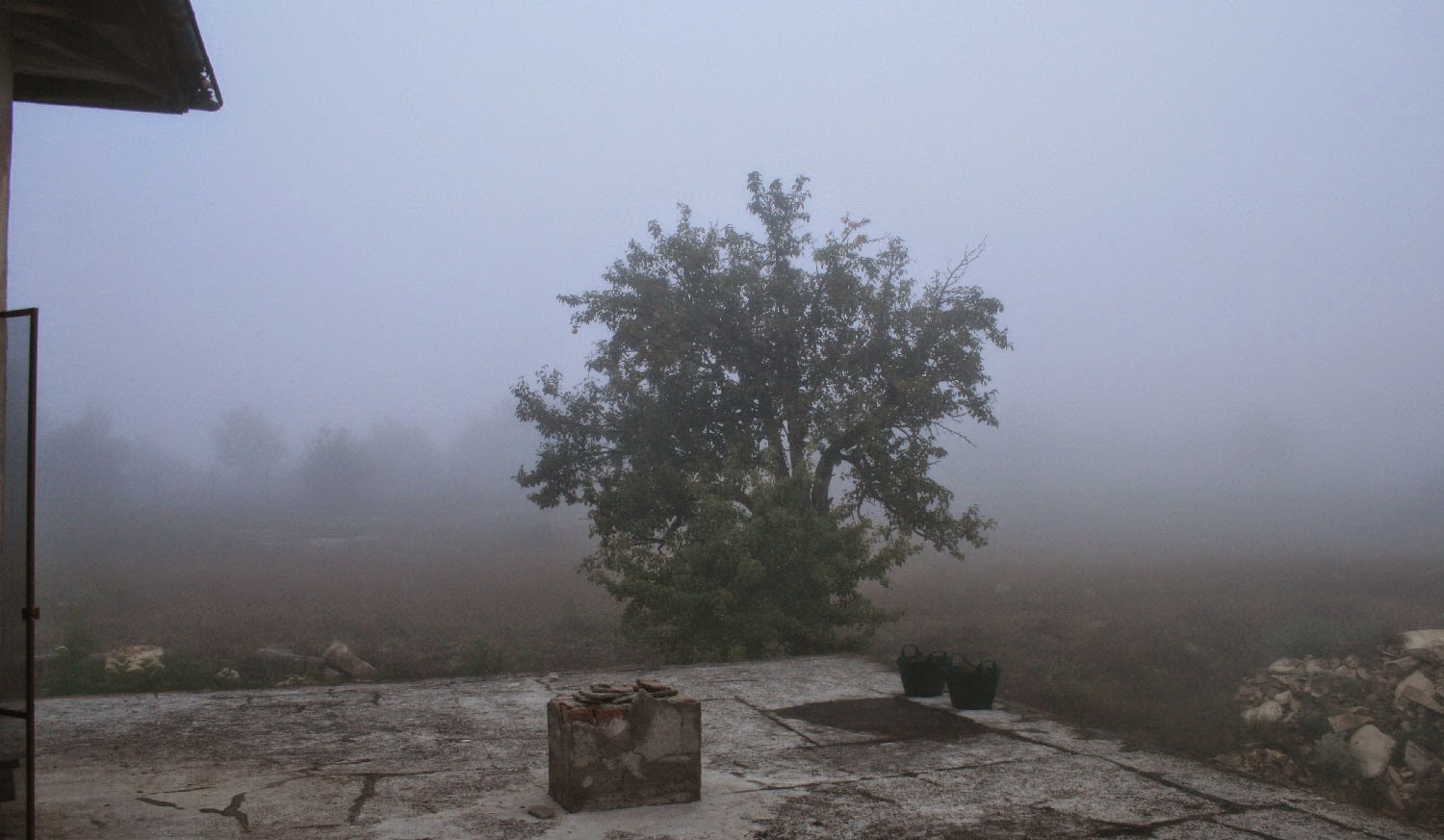 It was very foggy this morning It was very foggy this morning