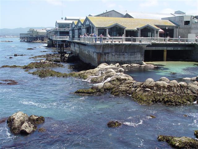 Name : Monterey Bay .