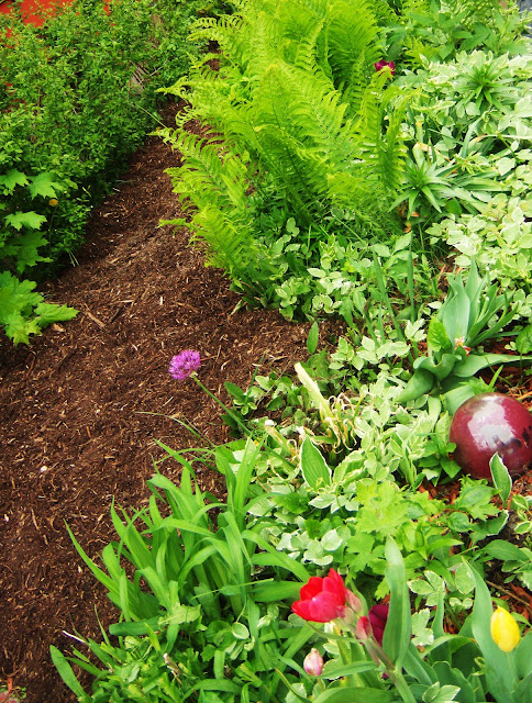 Suzy Homefaker: RECYCLED GARDEN WEED BARRIER
