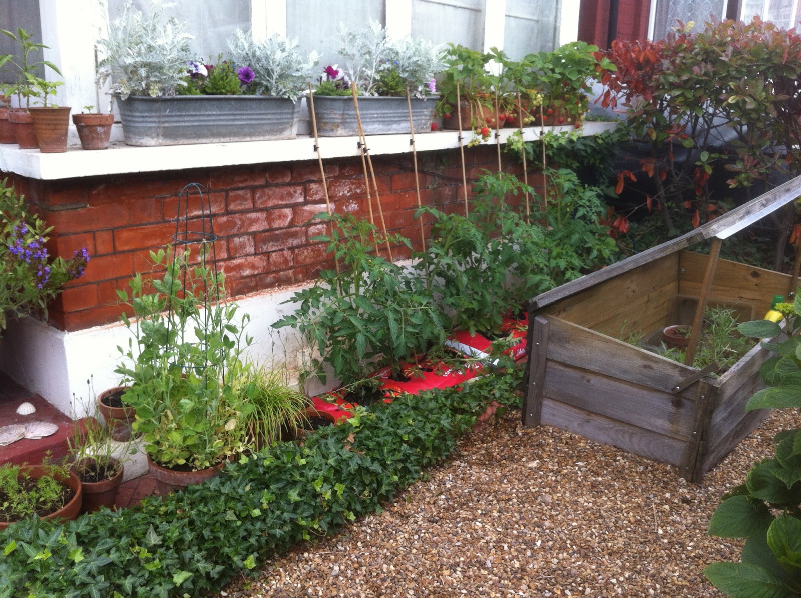Local Ecologist Window Box Garden Melissa Harrison