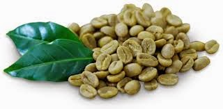 Green Coffee Extract