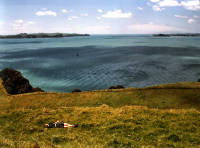Browns Island, Auckland, New Zealand