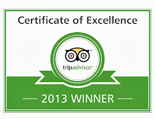 TripAdvisor Hotel of Excellence Award