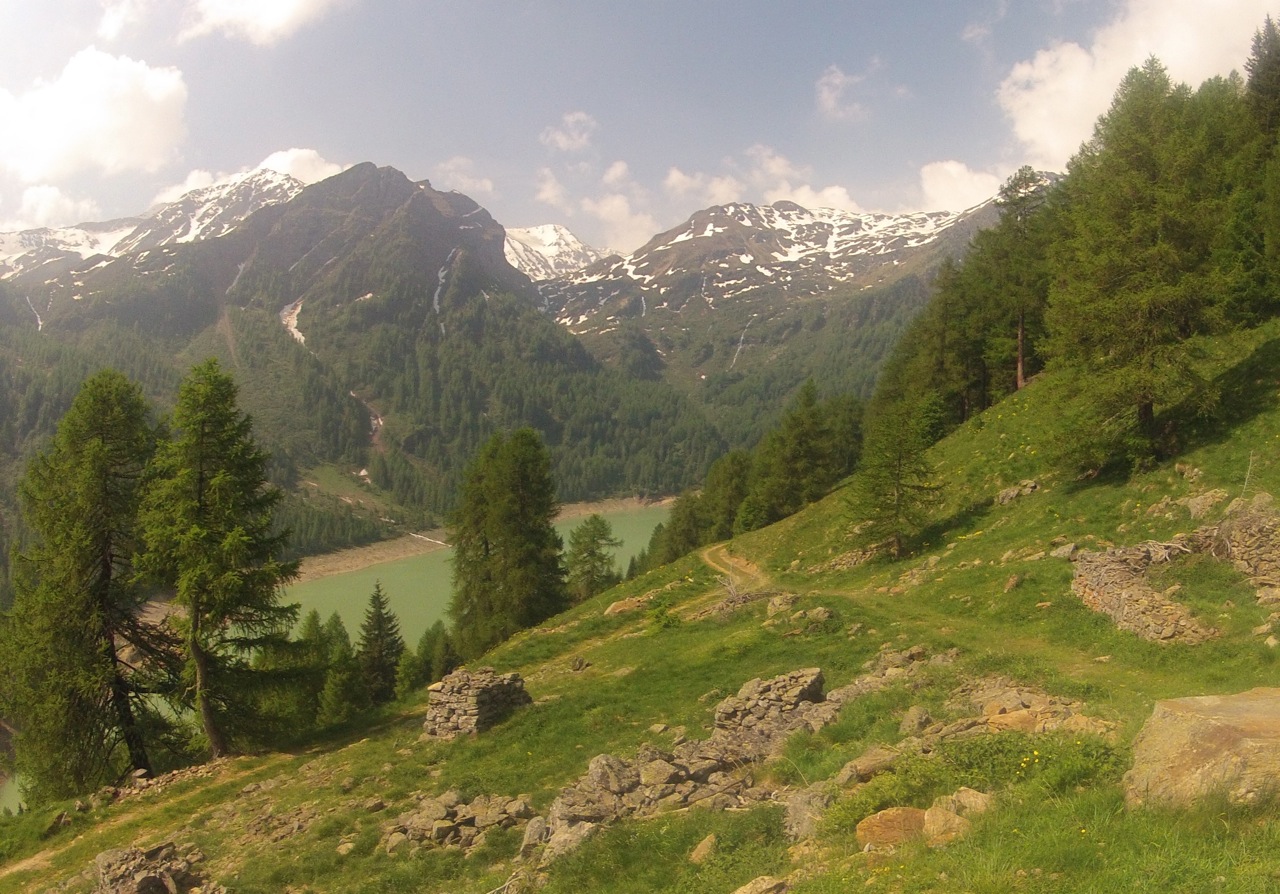 an intense green spring cast itself across a broad swath of central europe but much like an overwatered house plant there were consequences to pay for the an intense green spring cast itself across a broad swath of central europe but much like an overwatered house plant there were consequences to pay for the