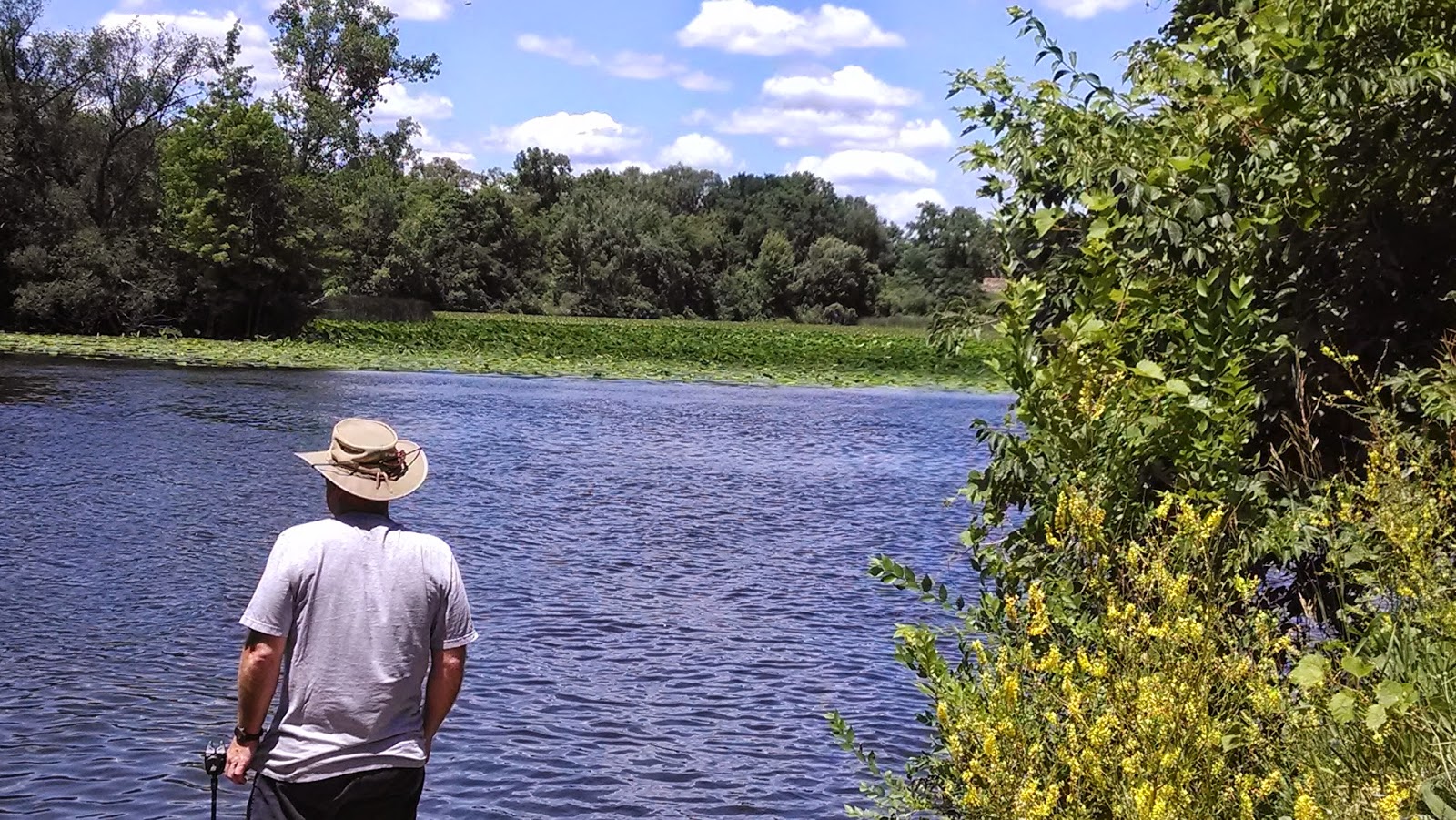 Michigan Carp Fishing Blog July 4th Carp Fishing Belleville Lake