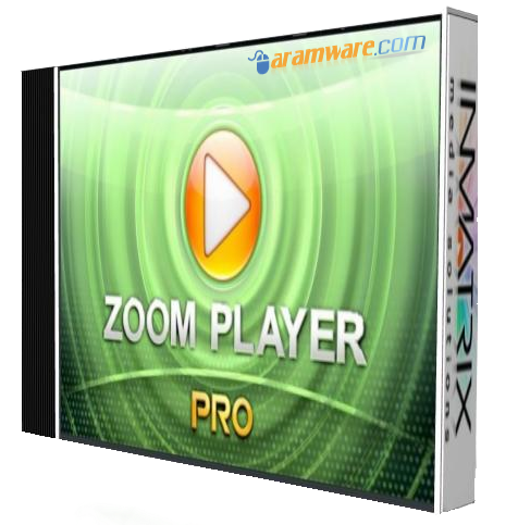 best zoom video player