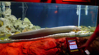 P1040234 Jalan-Jalan Terus: Menjelajah Dunia Di Kota Malang