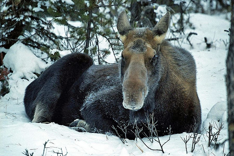 The Azure Gate sleeping Through it All Part II