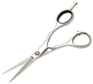 Hairdressing Scissors Open