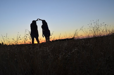 el corazón el único órgano capaz de enamorar a las personas.