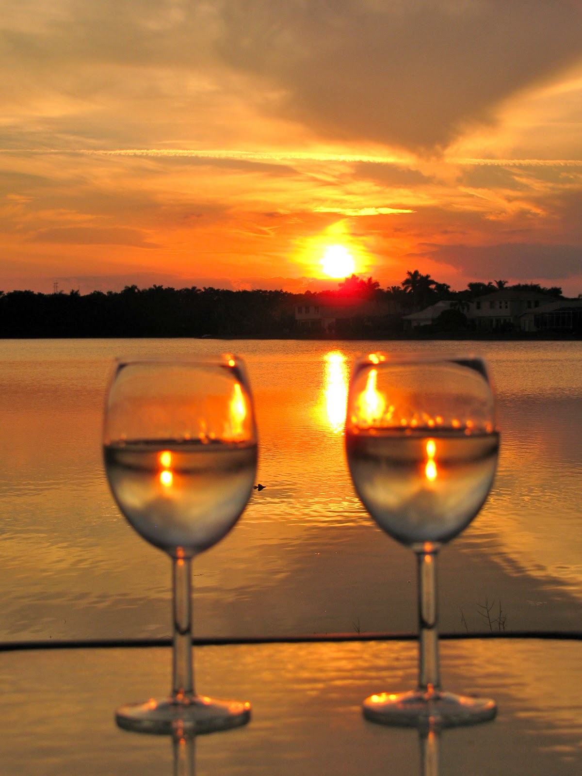 MAY DAYS Wine Bottle Garden Border