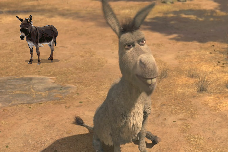On the other hand I think Balthazar telling his sad story to Donkey from th...