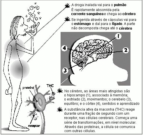 O que os exercícios ajudarão pela perda de peso de mãos