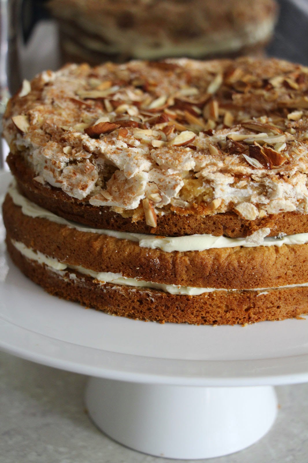 Apricot Tart Honey Meringue Torte a Birthday Cake with a Difference!