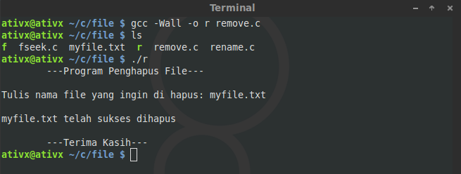program-penghapus-file