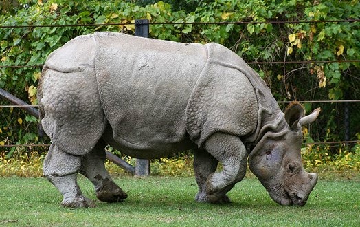 Taman Nasional Ujung Kulon, wisata bahari di Banten | Daftar Tempat Wisata  Lengkap
