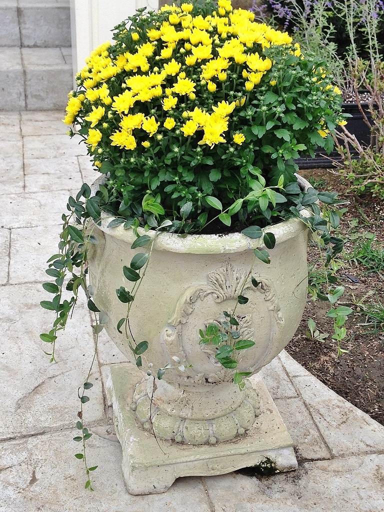 Rattlebridge Farm She�s Gone to Pot