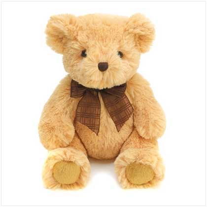 http://2.bp.blogspot.com/-doLkk4TDReI/Te7oQtp3gNI/AAAAAAAAAHQ/qFgSZ6k9eB0/s1600/39622-huggable-teddy-bear.jpg