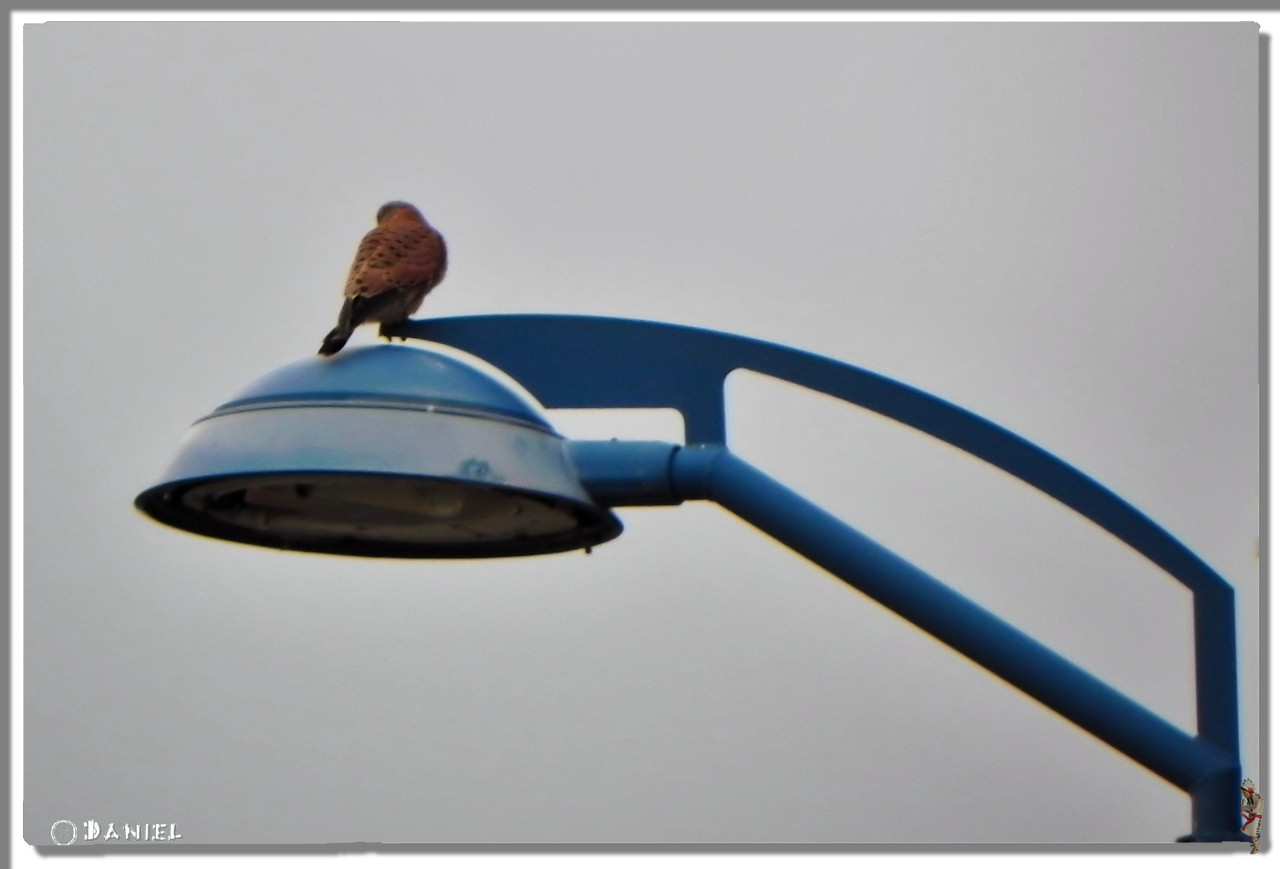 rencontre olonne sur mer