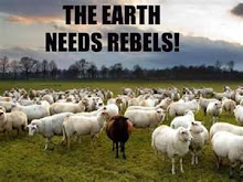 The Earth Needs Rebels: Andy Peacher/Kevin Bull