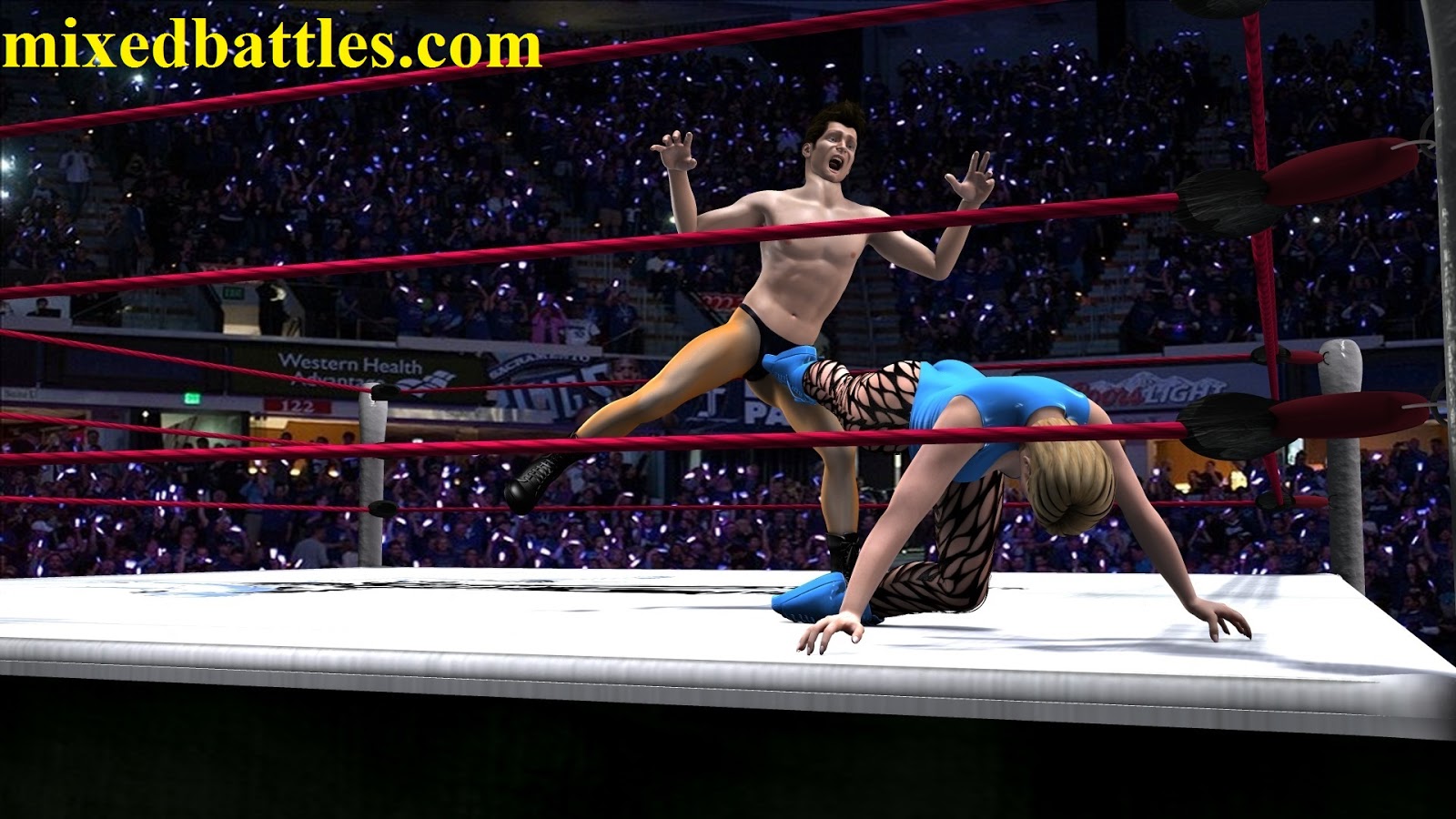 Mixed wrestling evolved fights