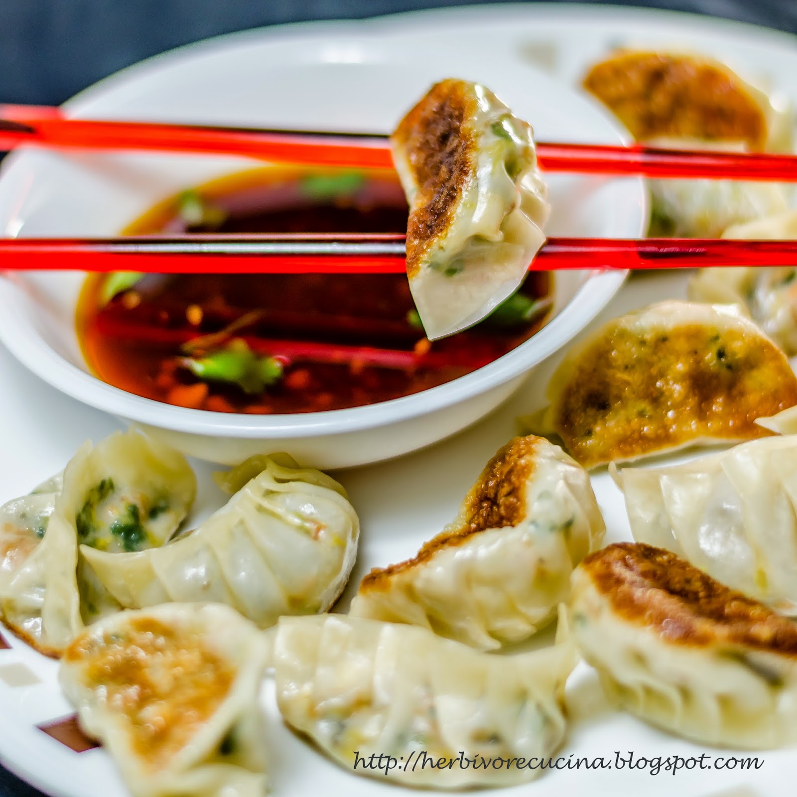 Herbivore Cucina Pan Fried Vegetable Dumplings