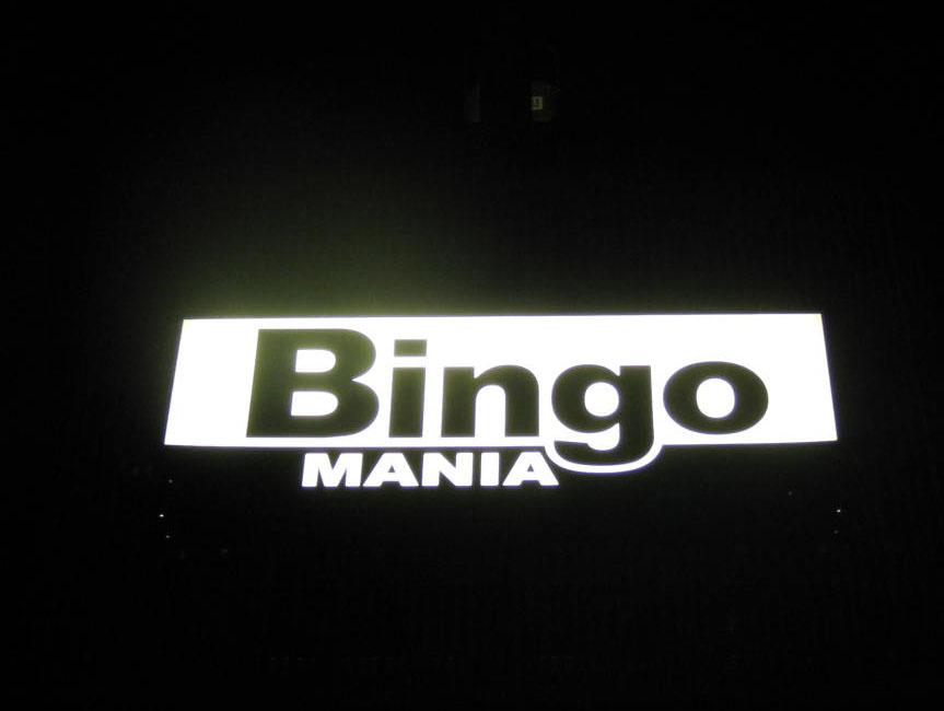 FishTaxi Bingo Mania