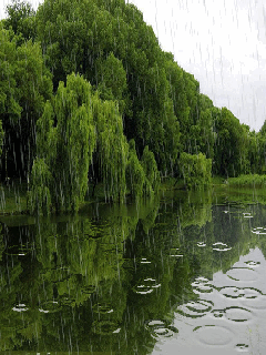 Nature Animated wallpapers | HD Animated wallpapers of ...