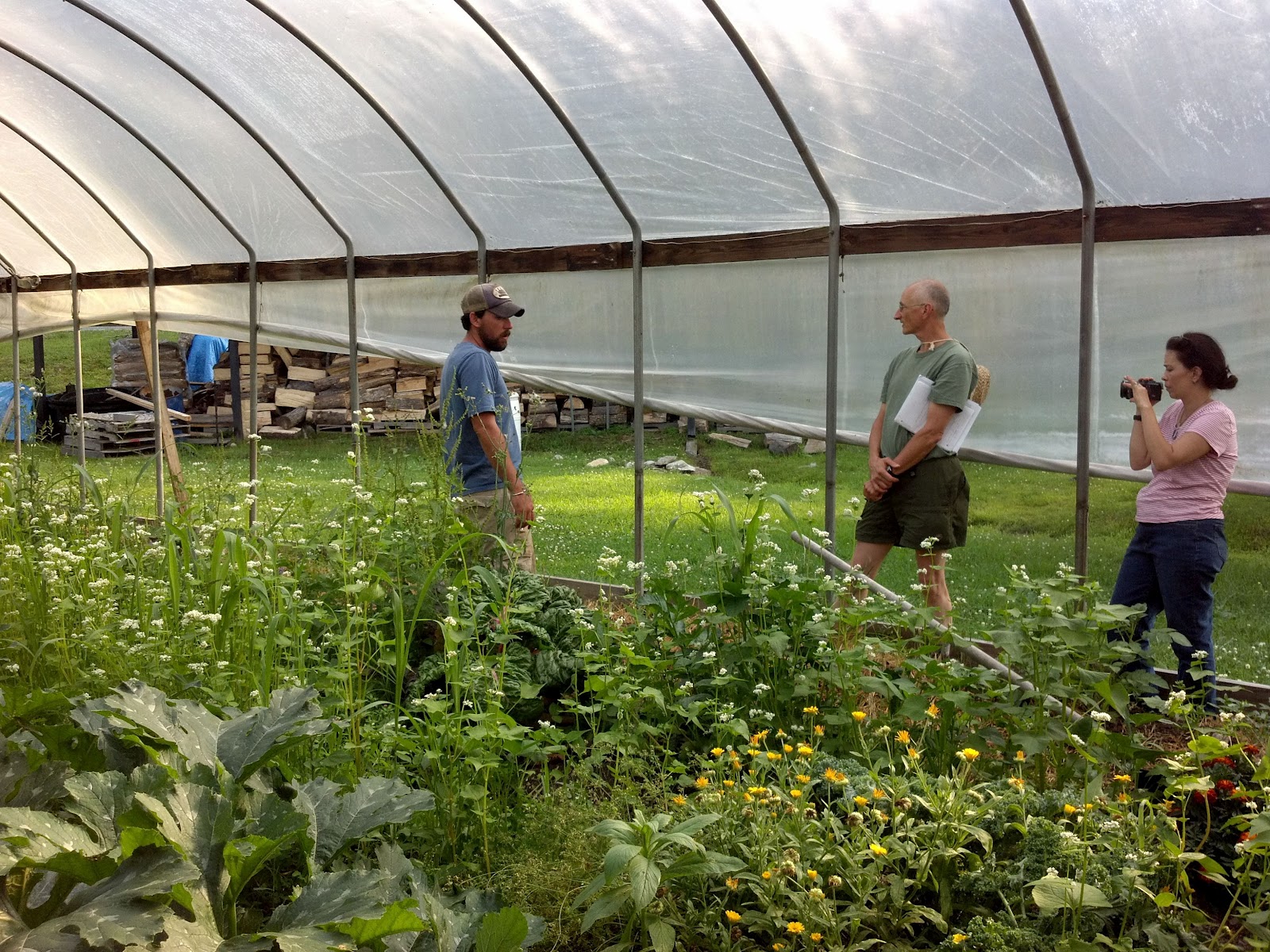 Our Tiny Farm in Western NC Mills River Educational Farma local treasure