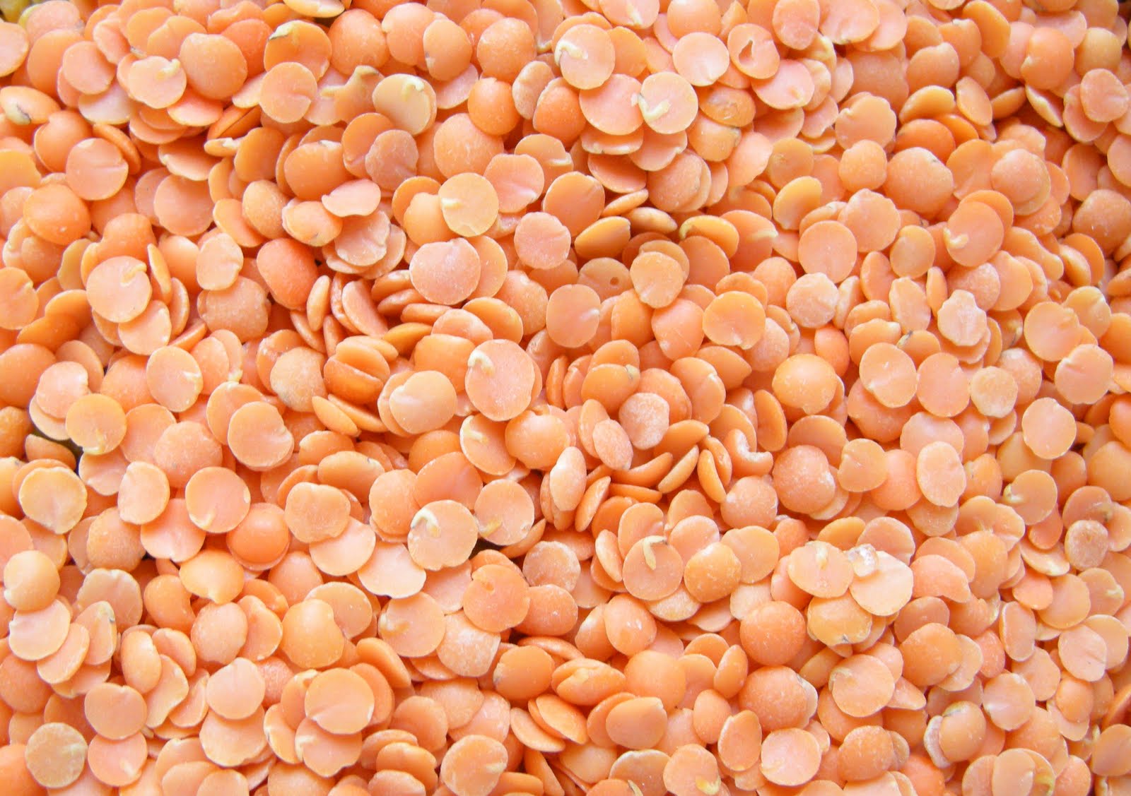 Pois Congo