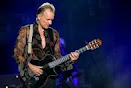 Sting                        (Gira 2013)