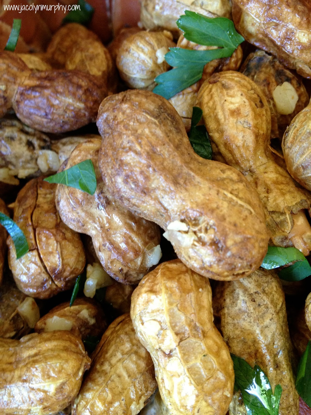 Jac o' lyn Murphy Nuts for Baseball