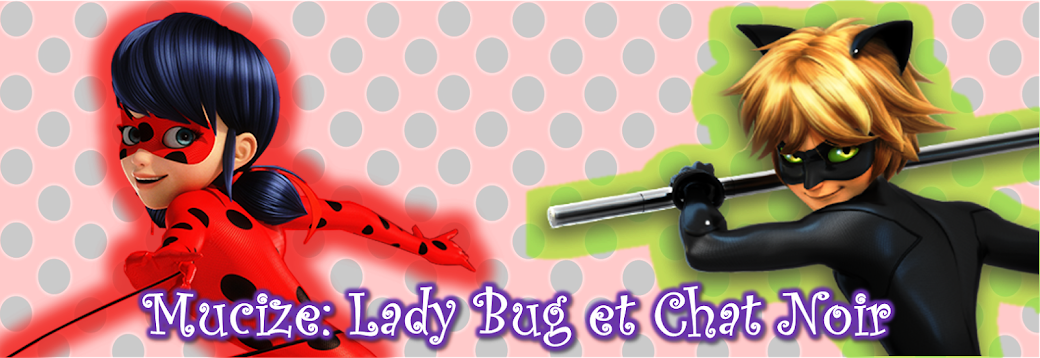 Mucize: LadyBug et Chatnoir