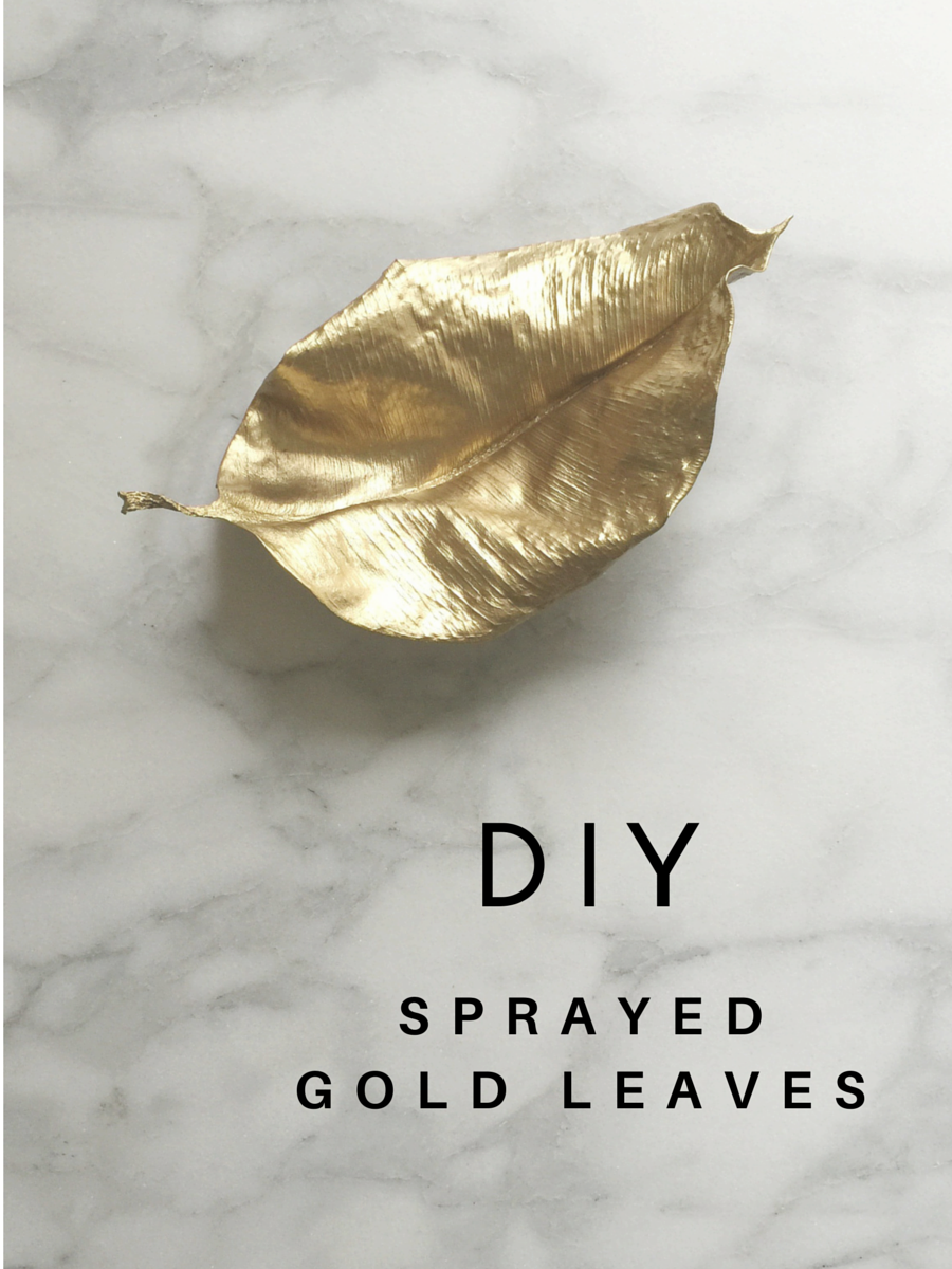 Avery Street Design Blog: DIY Summer School // Sprayed Gold Leaves