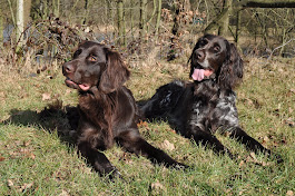 Noortje & Hannes