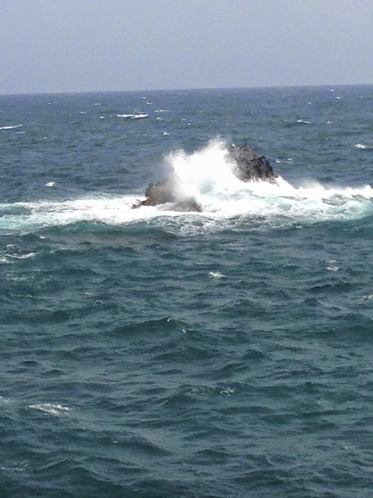 De Belevenissen Van De Familie Fingal Op Aruba Black