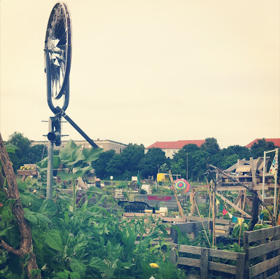 Buchersuchtig Rezension Maienmond