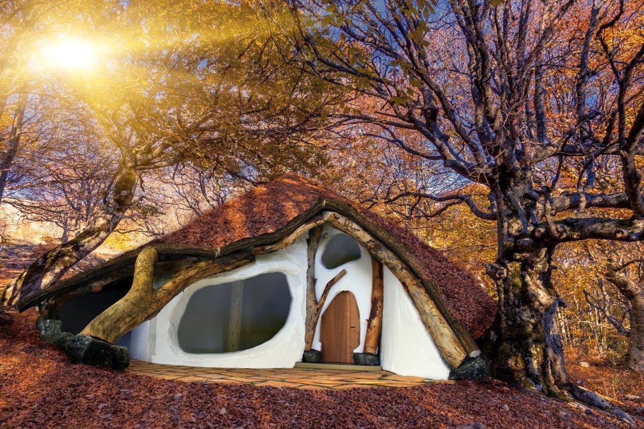 https://www.startnext.de/einbaumhaus