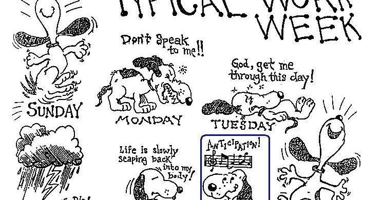 typical work week