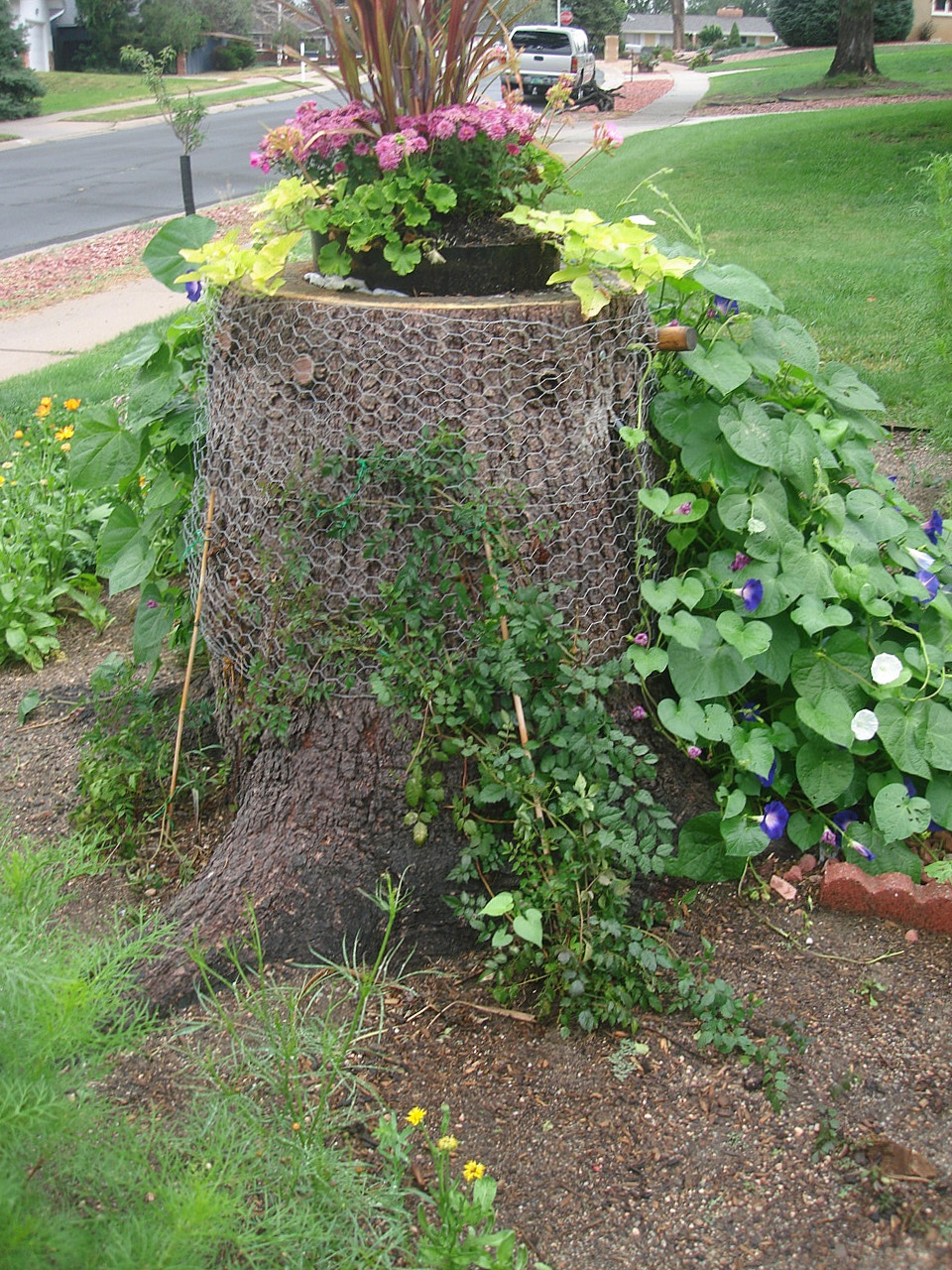 Louise Sanchez / Herbs Crafts Gifts: Pine Tree Stump as a Planter
