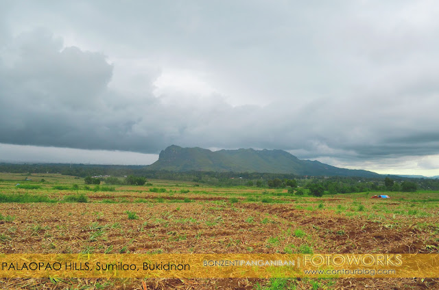 Photo Shoot : Bukidnon : Palaopao Hills the Sleeping Giant