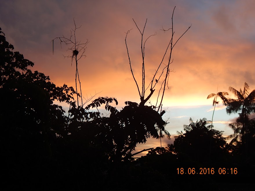 FOTOS DA NECA MACHADO - AMAPÁ