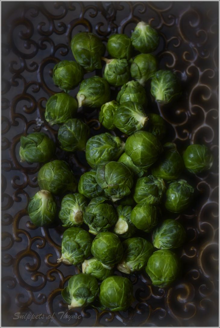 Thyme Roasted Brussel Sprouts with Cranberries and Balsamic Vinegar